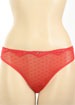 Red Swiss Dot regular sheer brief