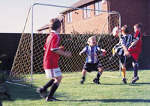 Giant Goal