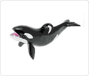 TP Orca