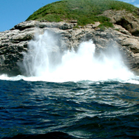 Gray Line - Rio de Janeiro Tropical Islands