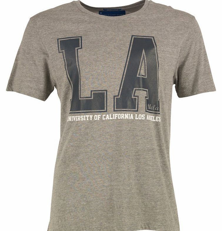 Mens Ashford LA T-Shirt Grey Marl