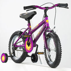 Stardust 14 ins Girls Bike