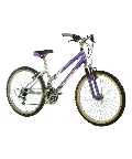 SILVERFOX FOXY 24 inch CYCLE