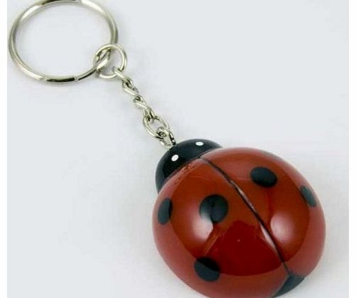 Keyring Ladybird Red Poly Resin 4x3cm