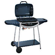 Unbranded 2 Burner Gas BBQ