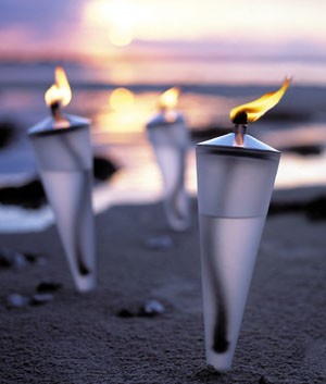 2 Menu Cone Torches