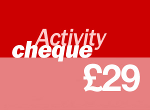 29 activity cheque