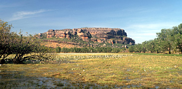 kakadu litchfield national park cruise cruises cruising yellow water waters aboriginal art darwin lu