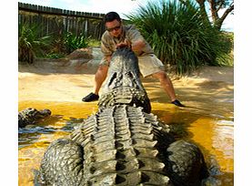 Discover the Florida Everglades on a thrilling airboat adventure! Glide over the sawgrass and cattails and let your spirit soar as you hear the stories of this unique environment. Hold an alligator and see a Florida Panther in our animal exhibit area