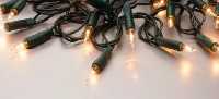 300 Clear Alternating Twinkling Lights