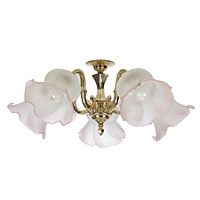 Unbranded 310 5 - 5 Light Polished Brass Ceiling Light