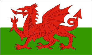 A great way to support your own by waving these great flags!