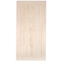 (W)597 x (D)16 x (H)1197 mm, This door will fit ca