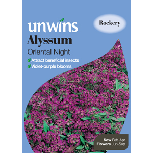 Unbranded Alyssum Oriental Night Seeds