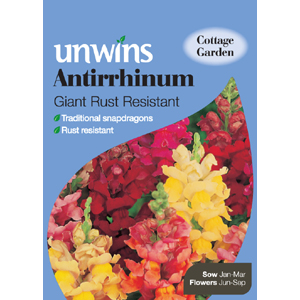 Unbranded Antirrhinum Giant Rust Resistant