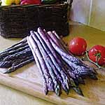 Unbranded Asparagus Crowns Stewarts Purple 481559.htm