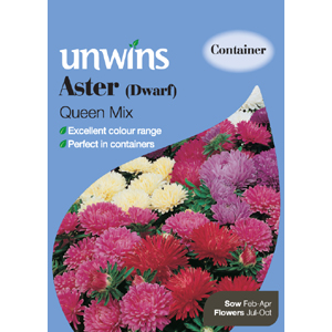 Unbranded Aster Dwarf Queen Mix Seeds