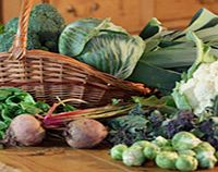 Unbranded Autumn Vegetable Brassica Plants - Collection