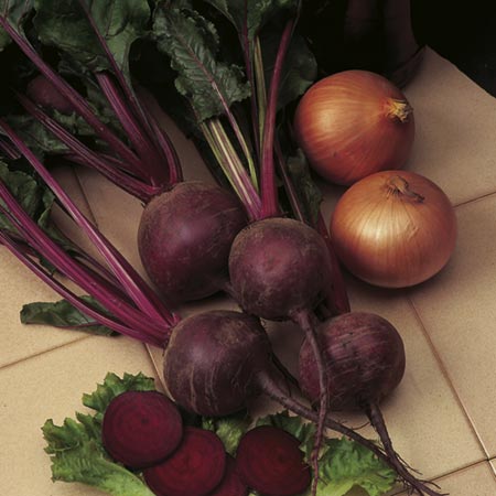 Unbranded Beetroot Moneta Seeds Average Seeds 170