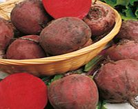 Unbranded Beetroot (Organic) Seeds - Detroit 2 - New Globe