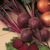 Unbranded Beetroot Seeds - Moneta