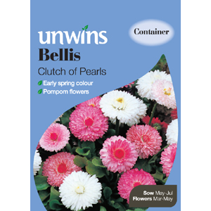 Unbranded Bellis Clutch of Pearl Seeds