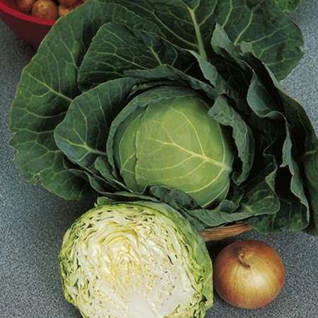 Unbranded Cabbage Golden Acre Seeds Average Seeds 450