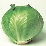 Unbranded Cabbage Lion F1 Seeds 433374.htm