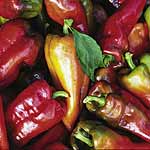 Unbranded Capsicum Beaver Dam Seeds