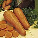 Unbranded Carrot Autumn King 2 Seeds - Triplepack 433773.htm