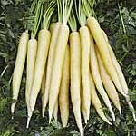 Unbranded Carrot Creme De Lite F1 Seeds 433819.htm