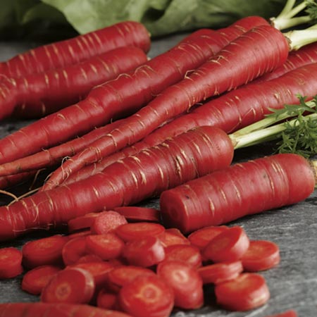 Unbranded Carrot Samurai Seeds Average Seeds 540