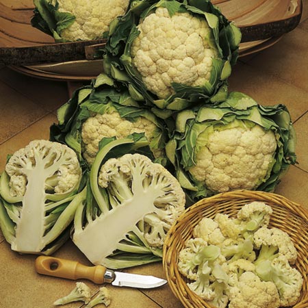 Unbranded Cauliflower All The Year Round Seeds Average