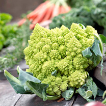 Unbranded Cauliflower Seeds - Celio F1