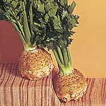 Unbranded Celeriac Brilliant Seeds 434507.htm