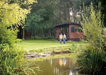 Unbranded Chaffinch B Holiday Park