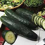 Unbranded Cucumber Marketmore Seeds 434957.htm