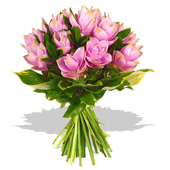 Unbranded Curcuma Bouquet - flowers