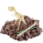 Any amateur archaeologist will love this! Dig and excavate the skeleton of a Tyrannosaurus Rex and