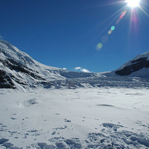 A must for any visitor to the Canadian Rockies, this breathtaking trip along the scenic Icefields Pa