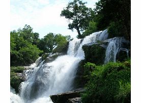 Nature lovers will enjoy this inspiring visit to stunning Doi Intanon National Park where you will see dramatic mountain scenery, ancient evergreen forests, rare birdlife and spectacular waterfalls