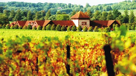 Unbranded English Vineyard Wine Workshop for Two