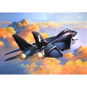 Unbranded F-14A black Tomcat plastic kit 1:48