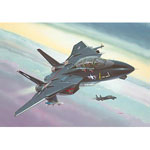 Unbranded F-14A Black Tomcat Plastic Kit