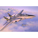 Unbranded F-14A Tomcat Plastic Kit