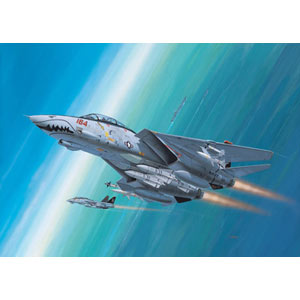 Unbranded F-14D Super Tomcat plastic kit 1:144