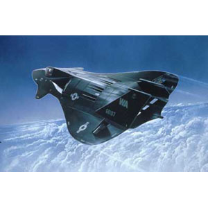 Unbranded F-19 Stealth Fighter plastic kit 1:144