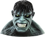 Adult Hulk Movie Deluxe Mask.