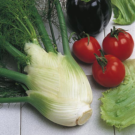 Unbranded Fennel Zefa Fino Seeds Average Seeds 280