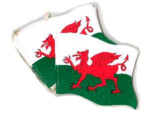 Nail your colours to the mast with this 5ft x 3ft